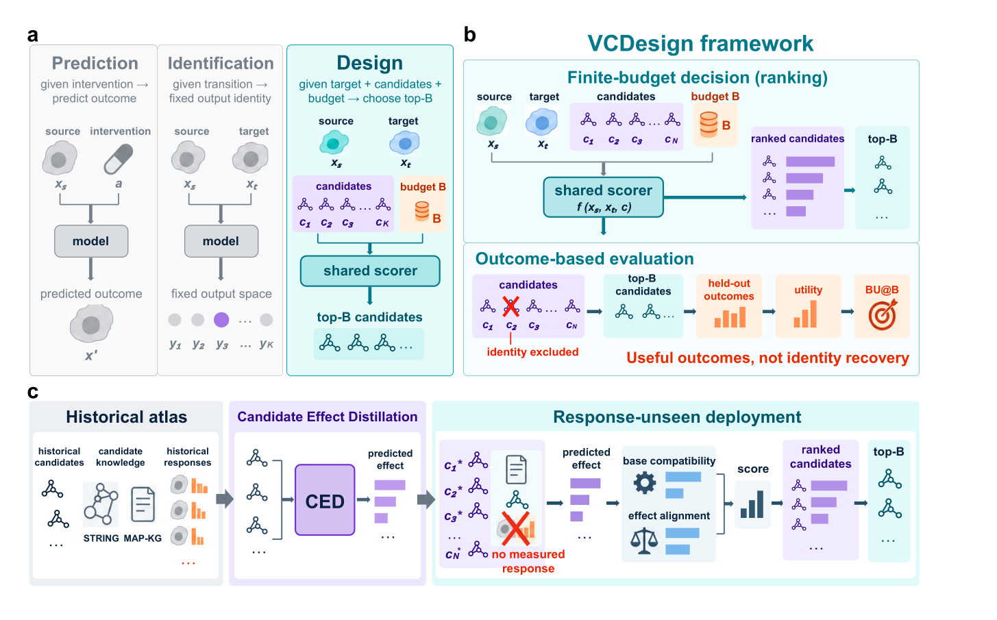 VCDesign: finite-budget intervention design for virtual cells