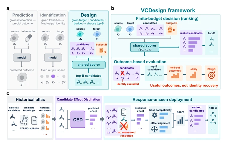 VCDesign: finite-budget intervention design for virtual cells